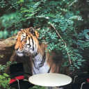 Fototapete, Büroraum, Fa. Hörluch Hersbruck, 2018.jpg